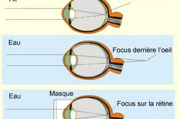 Air du masque rayon sous l’eau.Image derrière la rétine