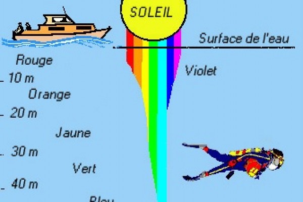 Sous l’eau les couleurs se perdent.