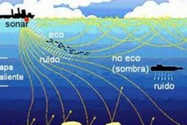 Le son se propague beaucoup plus vite sous l’eau