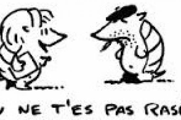 tu t’es rasé. Elle s’est rasée