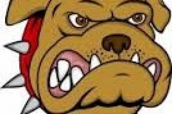 Quelle jalousie celle de ce chien !