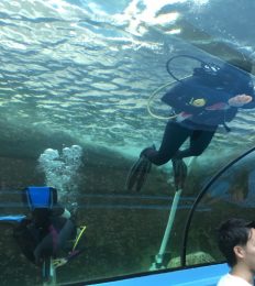 AUSTRALIA_1041_1024