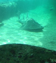 AUSTRALIA_1045_1024