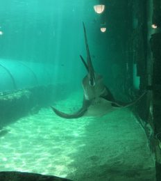AUSTRALIA_1047_1024