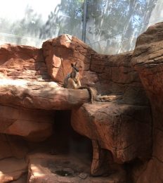 AUSTRALIA_1076_1024