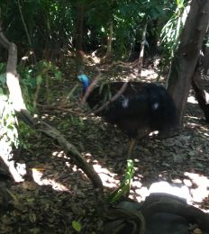 AUSTRALIA_1083_1024