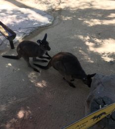 AUSTRALIA_1093_1024