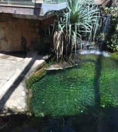 AUSTRALIA_1094_1024