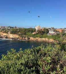 AUSTRALIA_1133