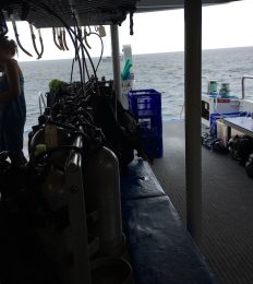 AUSTRALIA_1230