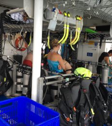 AUSTRALIA_1232