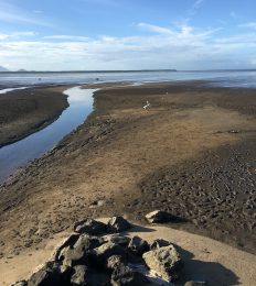AUSTRALIA_1236