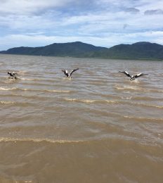 AUSTRALIA_1247