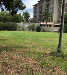 AUSTRALIA_1264