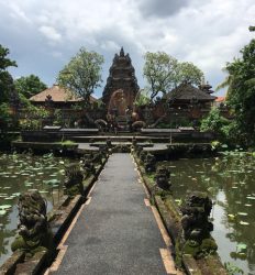 Los estanques en los templos son mumérosos. / Les étants dans les temples sont nombreux.
