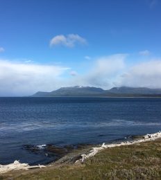 CHILE_1719