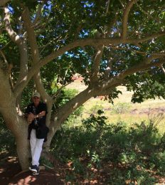 ISLA_DE_PASCUA_1548_1024