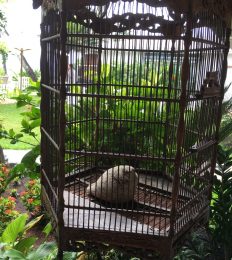 POLINESIA_1396_1024
