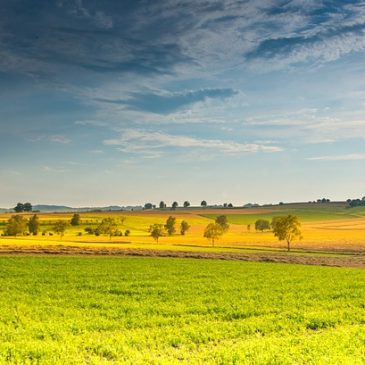 LA NATURALEZA Y EL BORROCO  LOS RUISEÑORES – La nature et le Baroque – Les Rossignols