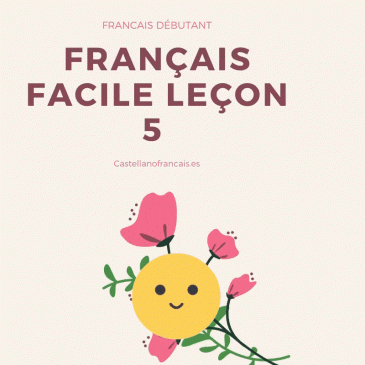 LEÇON 5 DÉBUTANT