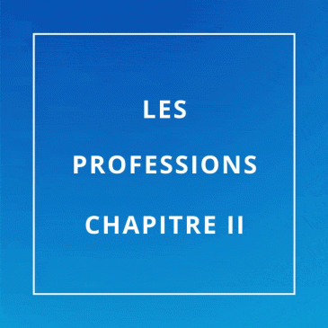 LES PROFESSIONS CHAPITRE II