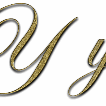 Y  (en français c’est une voyelle) (en francés es una vocal)